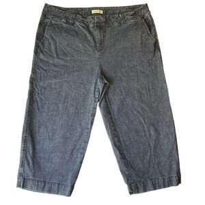 Coldwater Creek Women Capri Jeans size W18 Blue Mid Rise Stretch